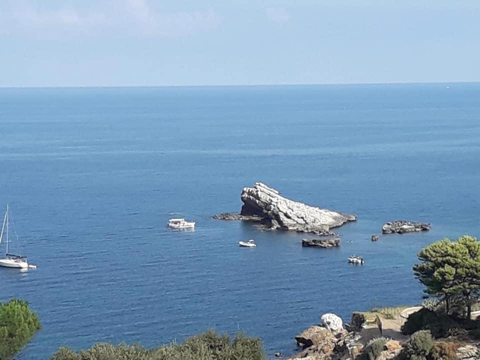 Cocciu D'Amuri 泰拉西尼 外观 照片